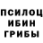 Галлюциногенные грибы Psilocybine cubensis MrDestructoid Logica