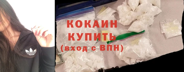 амф Верея
