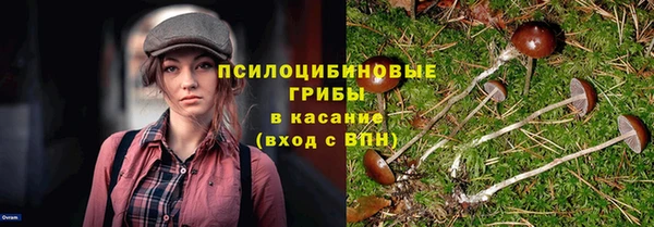амф Верея
