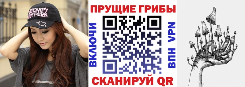 где купить наркоту  Переславль-Залесский  мега ТОР  Псилоцибиновые грибы Magic Shrooms 